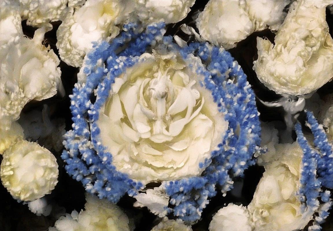 亚历山大率雷霆冲至西部第二，青年军缺乏季后赛经验成挑战掘金标杆